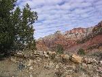 Southwest Desert
