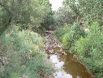 North Creek flash flood 1