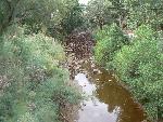 North Creek flash flood 4