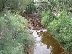 North Creek flash flood 6