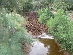 North Creek flash flood 7