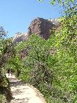 Improved Weeping Rock Trail