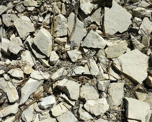 small broken pieces of gray Carmel limestone