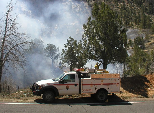 Zion Fire Engine crew vehicle parked on the side of a road with smoke rising in the background.
