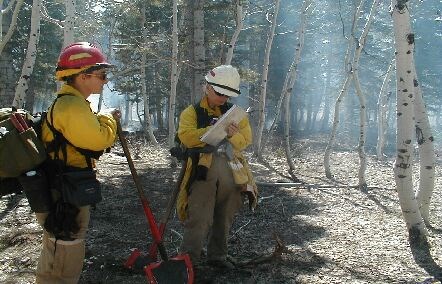 Two fire crew members stand in a burned forest with gear and a clipboard.