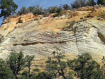 cross-bedding in Temple Cap on the East Rim Trail