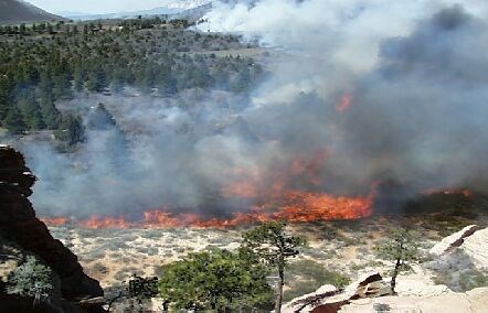 View of an active wildfire burning across the ground with flames and smoke in the juniper trees.