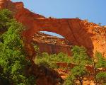 6. Kolob Arch