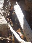 5. New log jams throughout the canyon