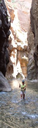 The Narrows at Orderville Canyon