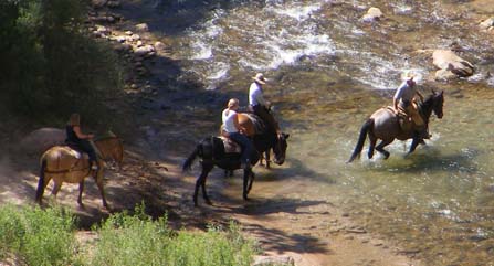 Visitors horsebackriding