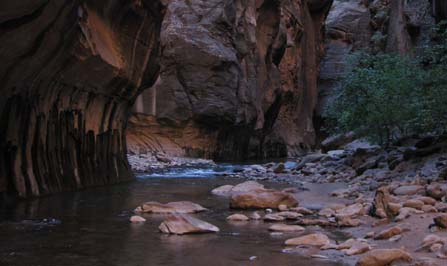 The Narrows Zion