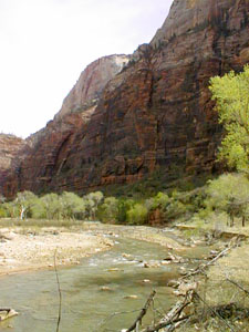Virgin River Bend
