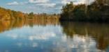 Fall colors along the Congaree River.