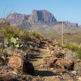 Lone Mountain trail