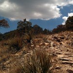 Emory Peak Trail