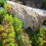 Mule Ears Spring