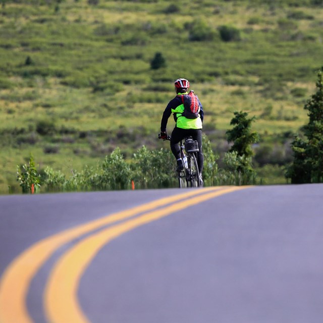 Back of man biking down highway