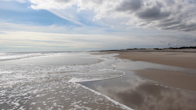 Assateague beach with birds at surf's edge