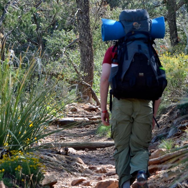 Chisos Backpacking and Camping Guide