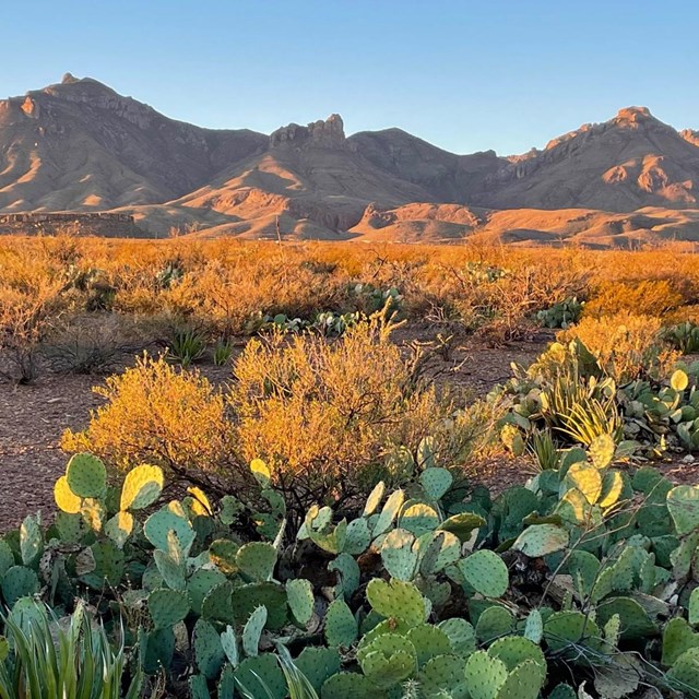 Big Bend Biosphere Region