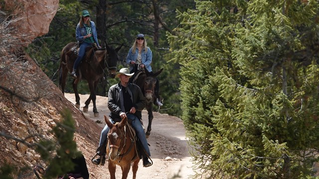 3 people on horseback on a trail between red rocks and vegetation.