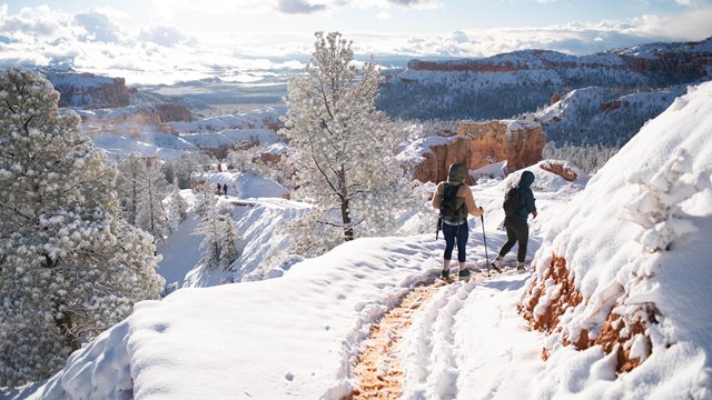Two visitors hike on a snowy trail.
