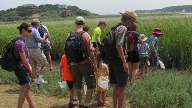 Explore, Hike, Paddle, Tour! Ranger programs are offered spring through fall. Join us!