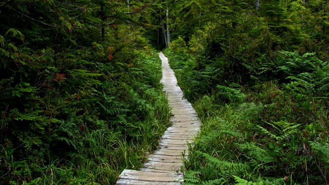 Olympic National Park 