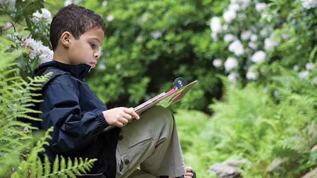 Boy reading on a rock