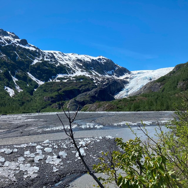Exit Glacier and outwash plain with pieces of ice over the rocks.
