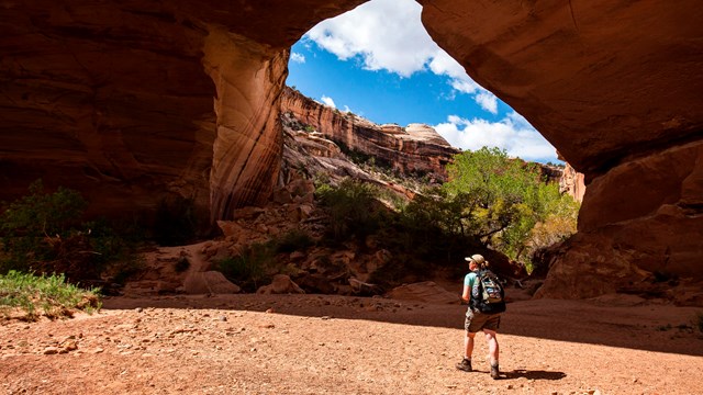 a massive natural stone bridge