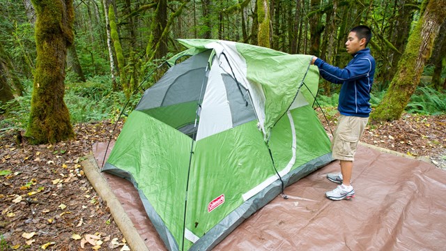 A man sets up a green tent in a campground.