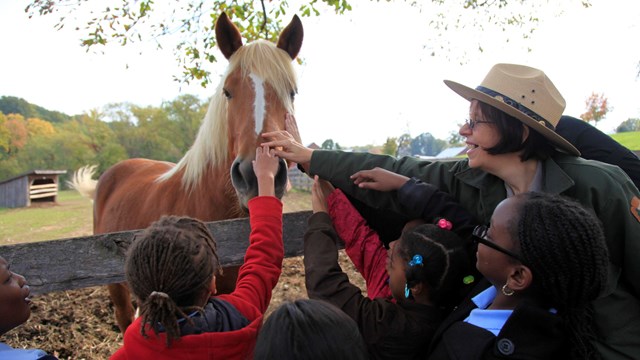 a park ranger with children petting the nose of a brown horse