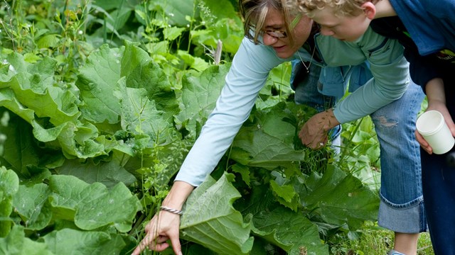 A woman points to green vegetation while a boy looks on