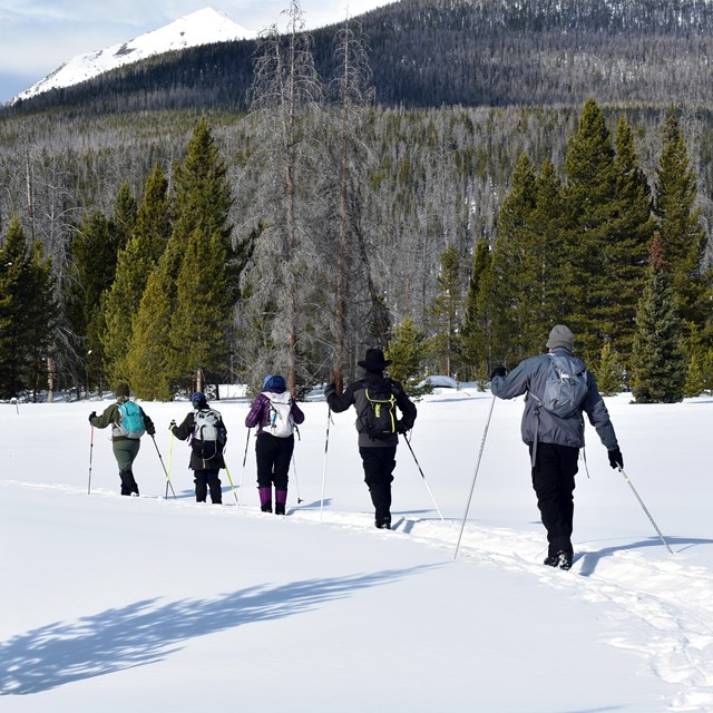 Trail Conditions