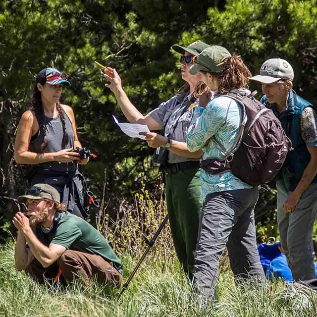 A woman looks through a magnifying glass to identify a specimen.