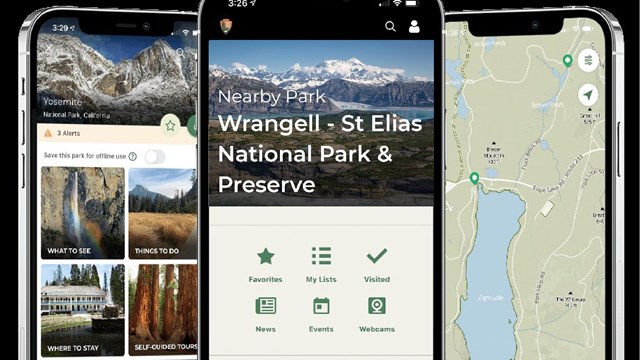 NPS Mobile App