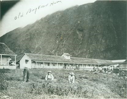 Black and white image of a large building called Bayview Home and three people are in front of the building.