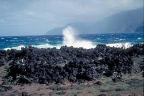 Photo of the surf breaking along Kalaupapa coastline.