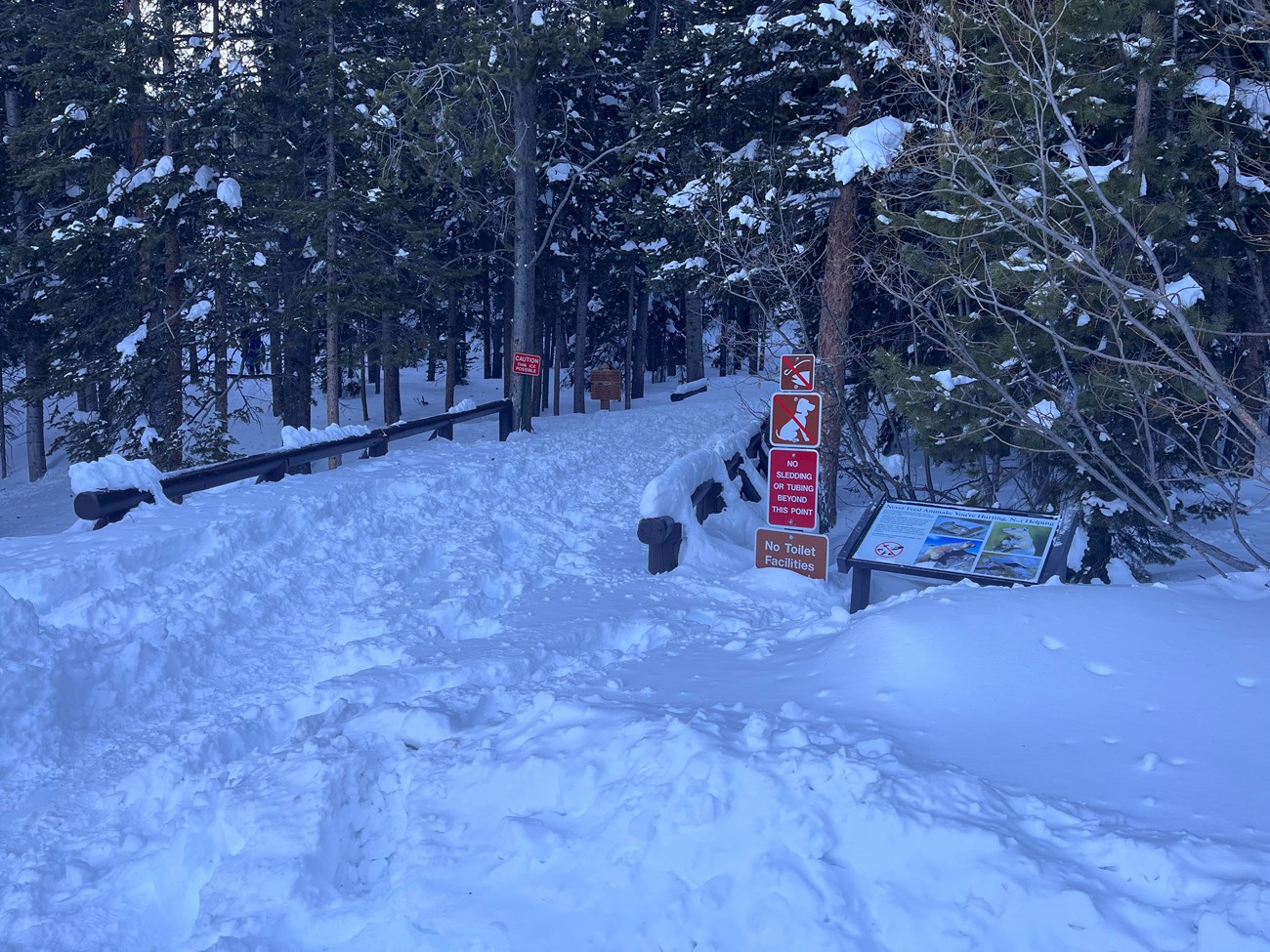 Snow-Covered Bear Lake Trail