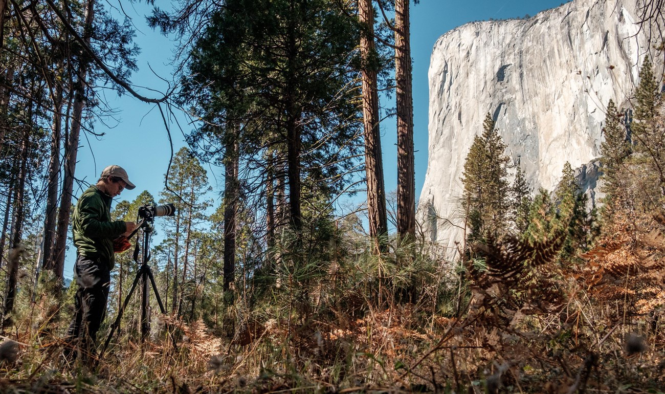 A young man in green pullover and tan ball cap stands with a tripod and camera looking toward the towering El Capitan in the distance.