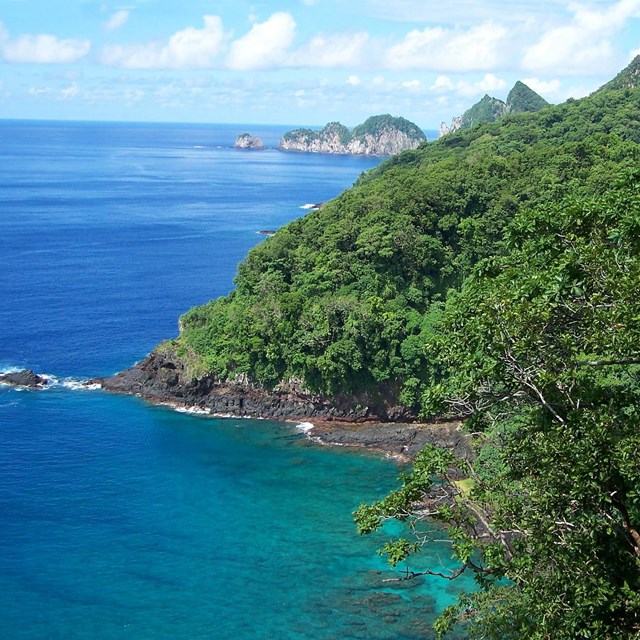 Lush tropical shore with blue-green waters