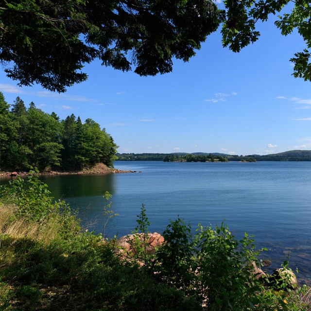 View of island from forested shore