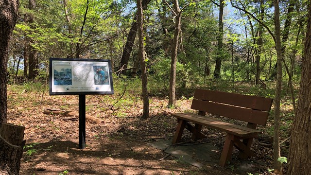 Sun shines through trees onto a trail exhibit sign and a bench.