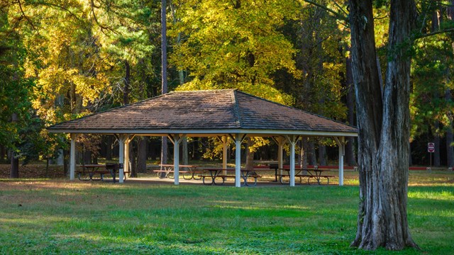 A Picnic Area and Pavillion 