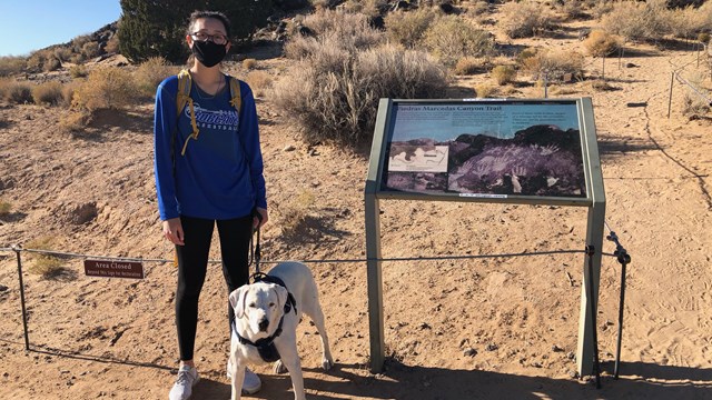 Responsible dog owner walking dog on 6-foot leash.