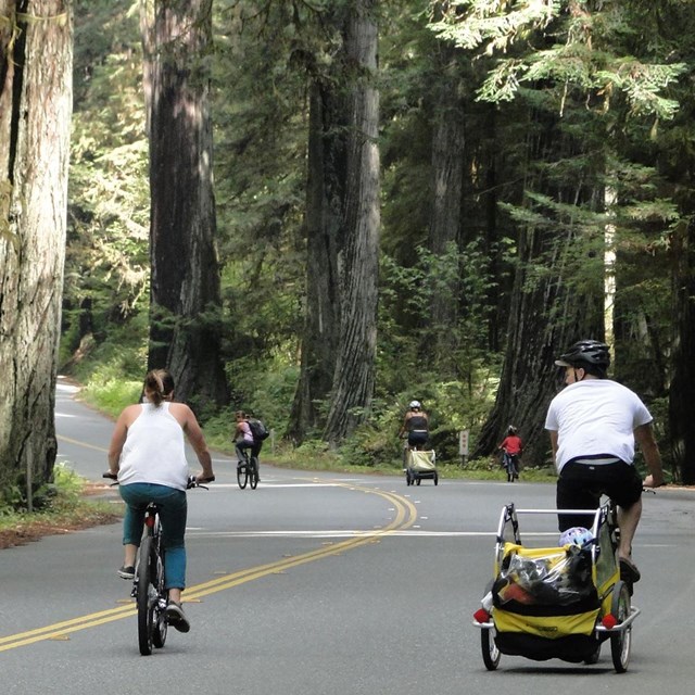 Many places are bike friendly.