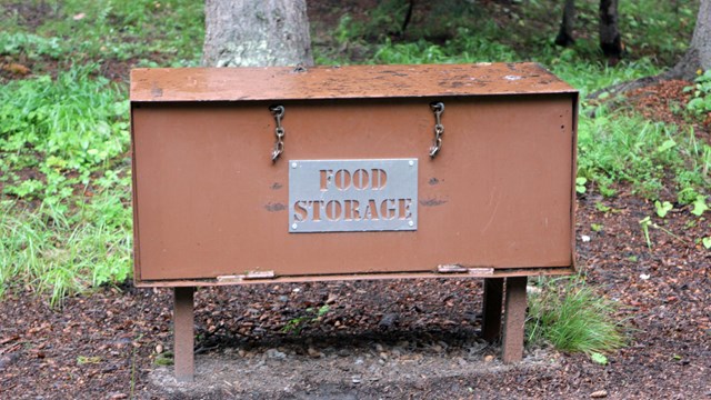 Food storage container with chains and locks