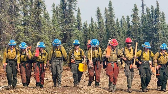 A line of people in personal protective equipment (PPE) holding handtools walk toward the camera.